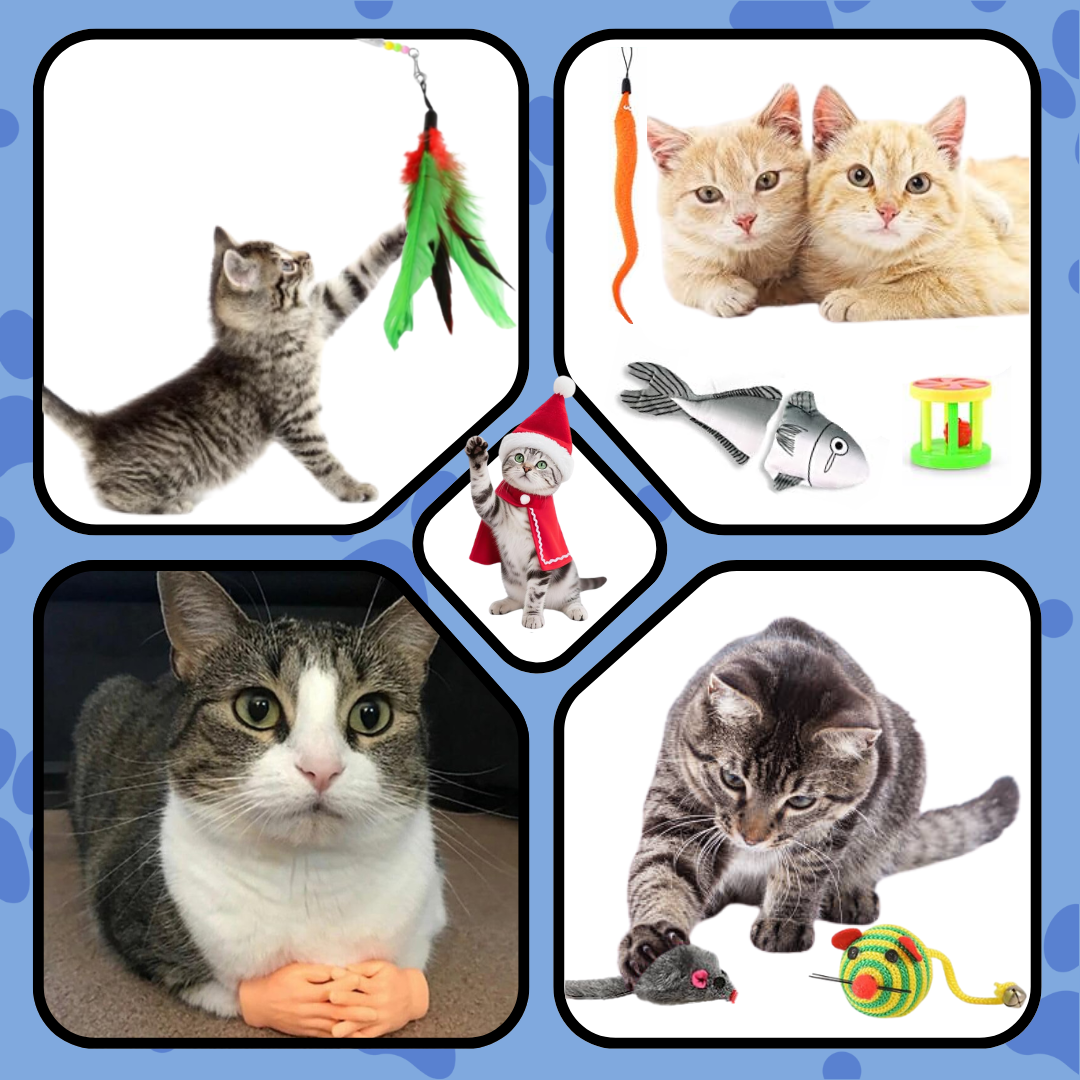 Calendario de Adviento para Gatos con 24 Juguetes